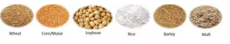 Stored grain Stored grain